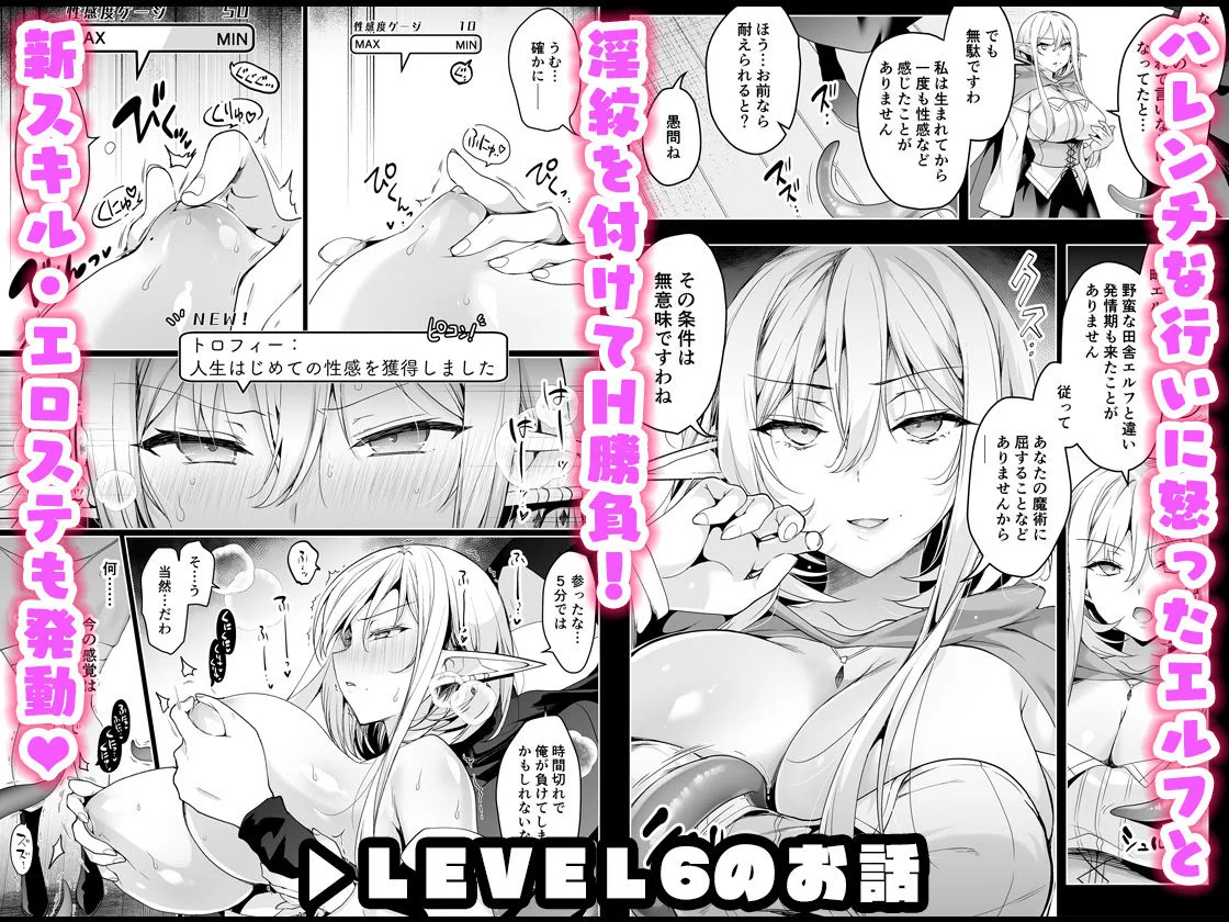 エルフに淫紋を付ける本 LEVEL:5〜8 総集編 [maker] サンプル6